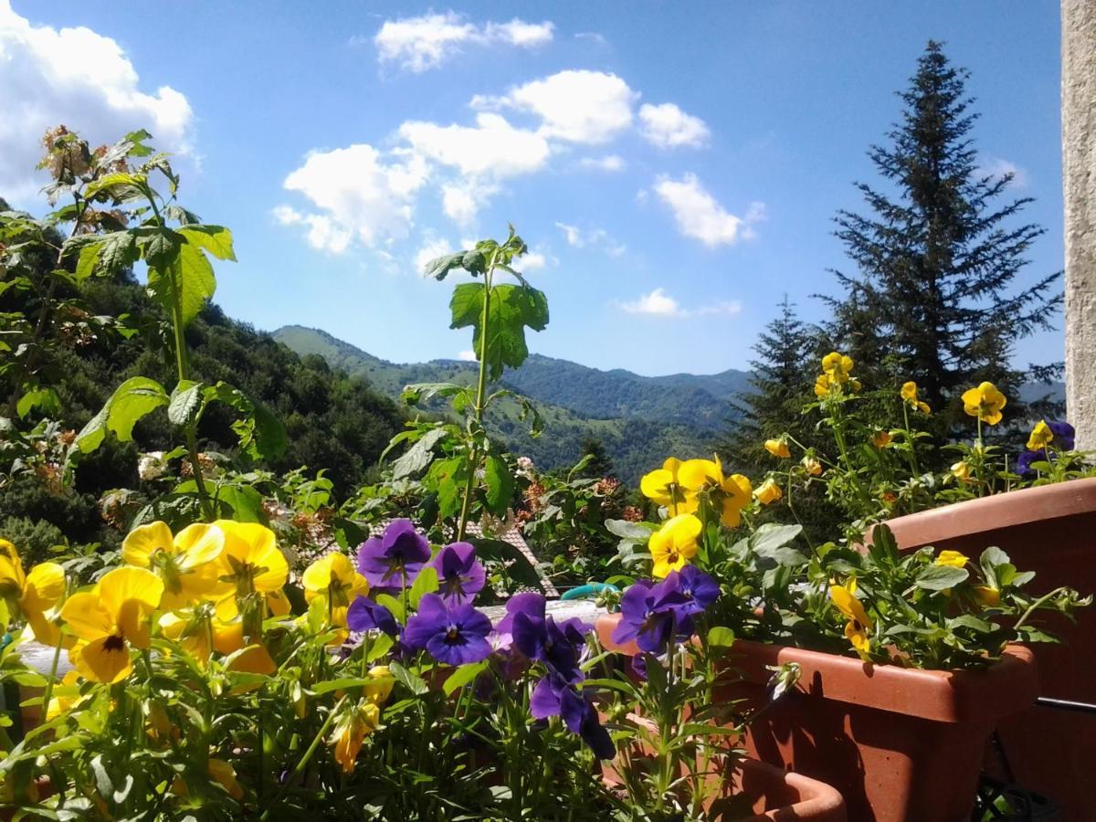 Villatiffany Torriglia Bagian luar foto
